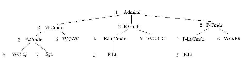 Tree diagram showing the hierarchy